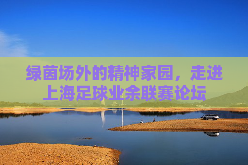 绿茵场外的精神家园,走进上海足球业余联赛论坛