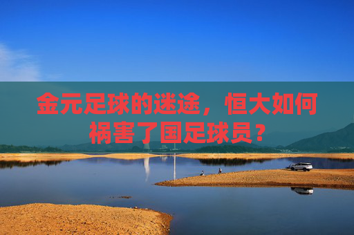 金元足球的迷途,恒大如何祸害了国足球员?