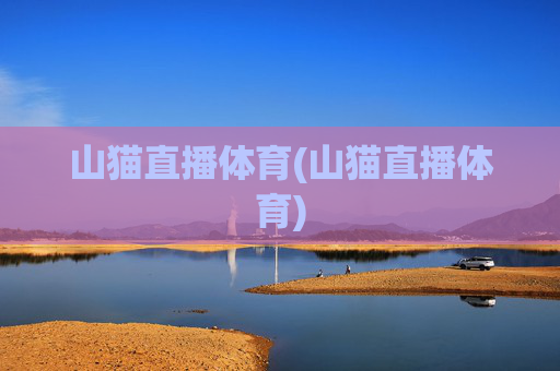 山猫直播体育(山猫直播体育)