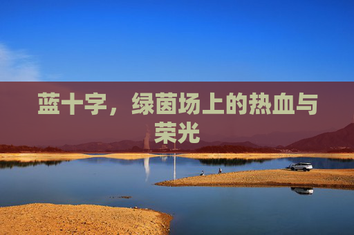 蓝十字,绿茵场上的热血与荣光