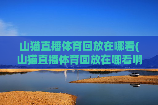 山猫直播体育回放在哪看(山猫直播体育回放在哪看啊)