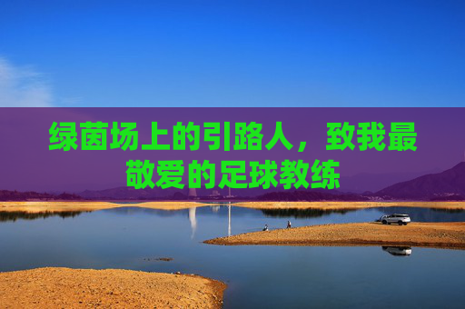 绿茵场上的引路人,致我最敬爱的足球教练