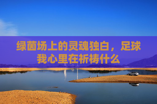 绿茵场上的灵魂独白,足球我心里在祈祷什么