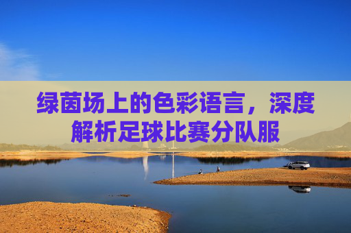 绿茵场上的色彩语言,深度解析足球比赛分队服