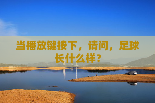 当播放键按下，请问，足球长什么样？