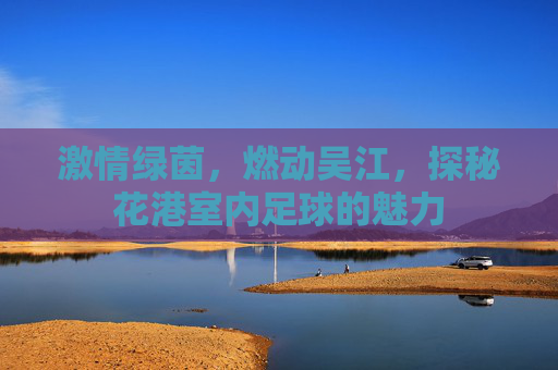 激情绿茵,燃动吴江,探秘花港室内足球的魅力