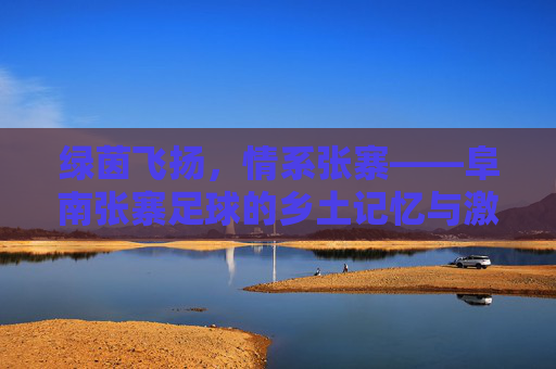 绿茵飞扬,情系张寨——阜南张寨足球的乡土记忆与激情