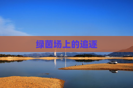 绿茵场上的追逐
