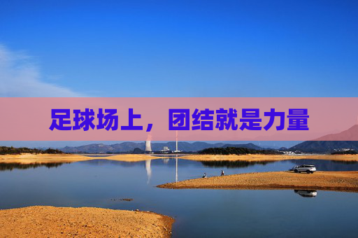足球场上,团结就是力量