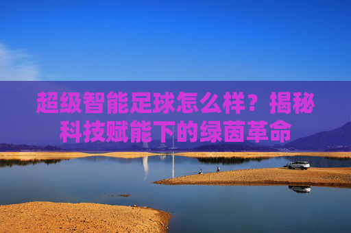 超级智能足球怎么样？揭秘科技赋能下的绿茵革命