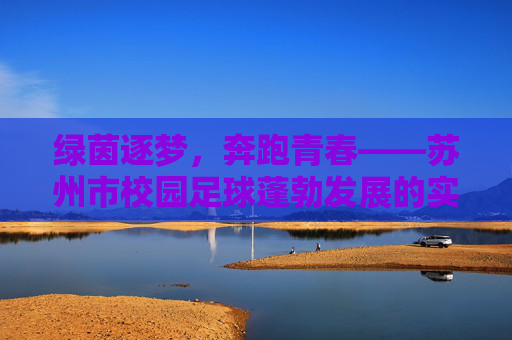 绿茵逐梦，奔跑青春——苏州市校园足球蓬勃发展的实践与启示