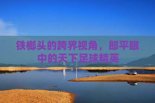 铁榔头的跨界视角,郎平眼中的天下足球精英