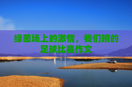 绿茵场上的激情，我们班的足球比赛作文