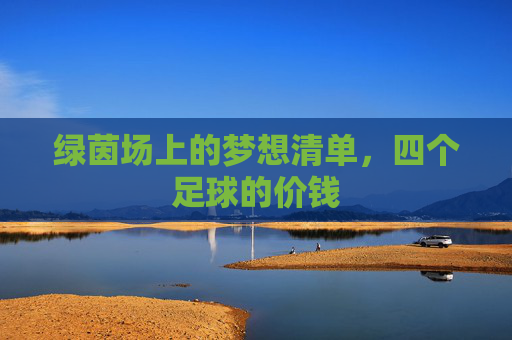 绿茵场上的梦想清单，四个足球的价钱