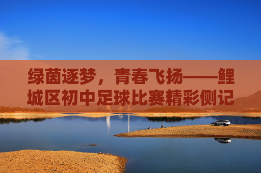 绿茵逐梦,青春飞扬——鲤城区初中足球比赛精彩侧记