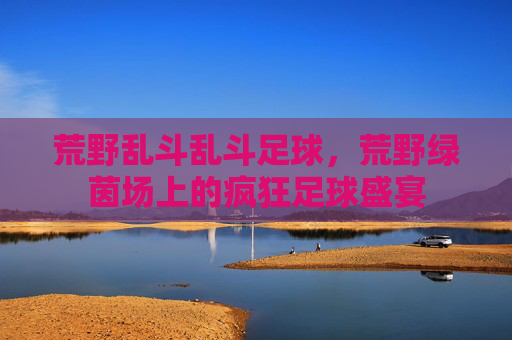 荒野乱斗乱斗足球,荒野绿茵场上的疯狂足球盛宴