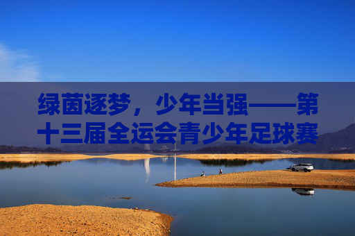 绿茵逐梦，少年当强——第十三届全运会青少年足球赛侧记