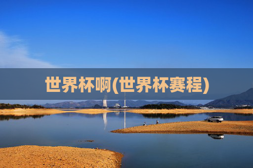 世界杯啊(世界杯赛程)