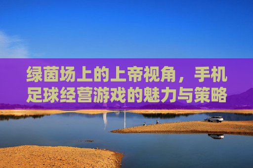 绿茵场上的上帝视角,手机足球经营游戏的魅力与策略