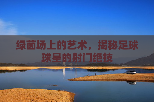 绿茵场上的艺术,揭秘足球球星的射门绝技