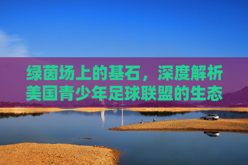绿茵场上的基石,深度解析美国青少年足球联盟的生态与文化