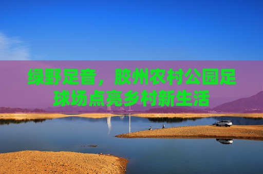 绿野足音,胶州农村公园足球场点亮乡村新生活