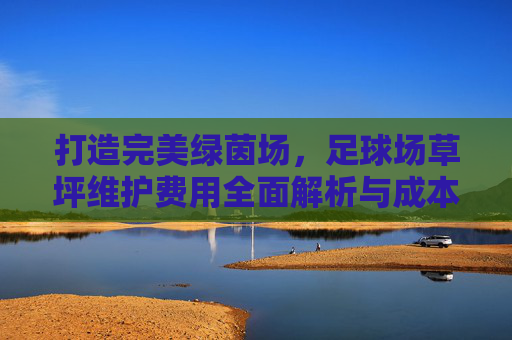 打造完美绿茵场,足球场草坪维护费用全面解析与成本控制指南