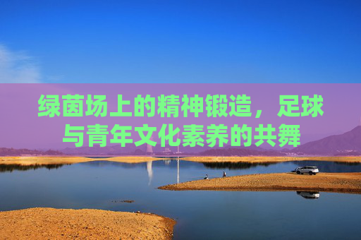 绿茵场上的精神锻造,足球与青年文化素养的共舞