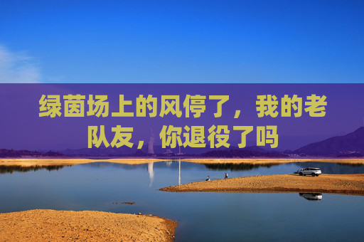 绿茵场上的风停了,我的老队友,你退役了吗