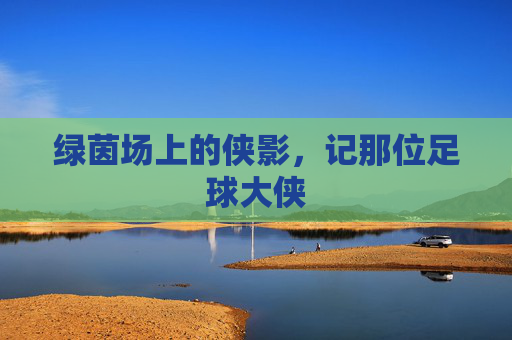绿茵场上的侠影,记那位足球大侠