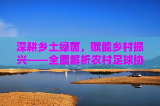 深耕乡土绿茵,赋能乡村振兴——全面解析农村足球协会的业务范围