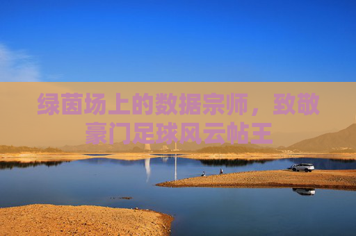 绿茵场上的数据宗师,致敬豪门足球风云帖王