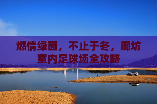 燃情绿茵，不止于冬，廊坊室内足球场全攻略