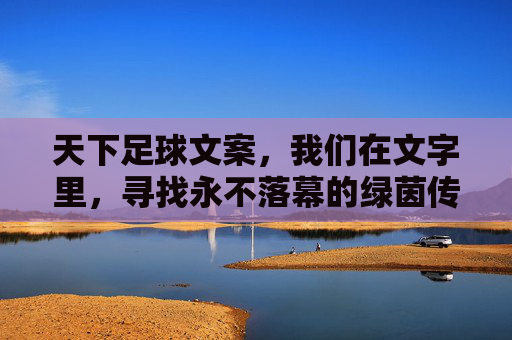 天下足球文案,我们在文字里,寻找永不落幕的绿茵传奇