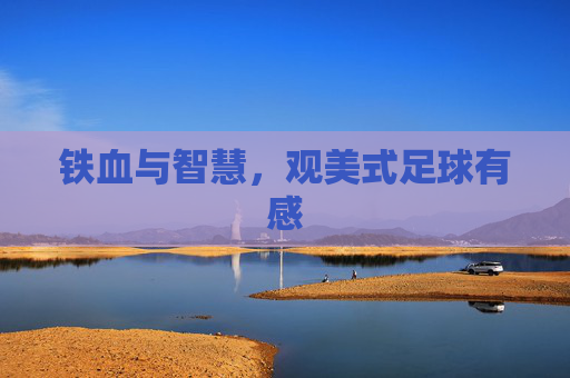 铁血与智慧,观美式足球有感