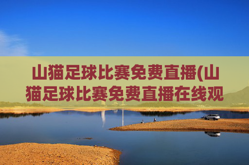 山猫足球比赛免费直播(山猫足球比赛免费直播在线观看)