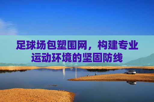 足球场包塑围网,构建专业运动环境的坚固防线