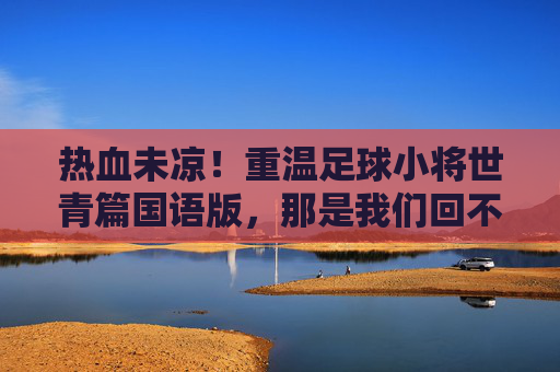 热血未凉!重温足球小将世青篇国语版,那是我们回不去的青春