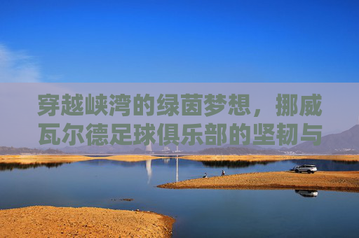穿越峡湾的绿茵梦想,挪威瓦尔德足球俱乐部的坚韧与荣耀