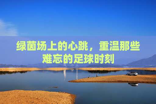 绿茵场上的心跳,重温那些难忘的足球时刻