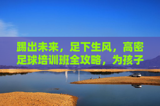 踢出未来,足下生风,高密足球培训班全攻略,为孩子选个好教练