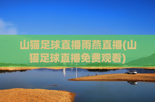 山猫足球直播雨燕直播(山猫足球直播免费观看)