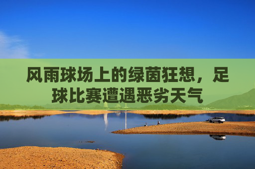 风雨球场上的绿茵狂想，足球比赛遭遇恶劣天气