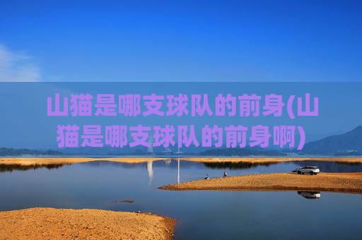山猫是哪支球队的前身(山猫是哪支球队的前身啊)