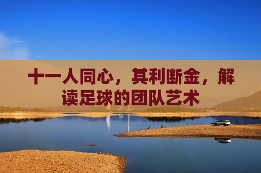 十一人同心,其利断金,解读足球的团队艺术