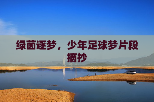 绿茵逐梦,少年足球梦片段摘抄