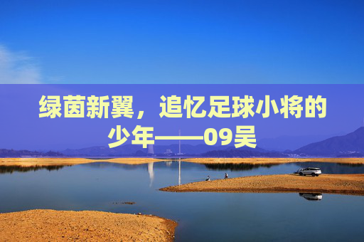 绿茵新翼,追忆足球小将的少年——09吴