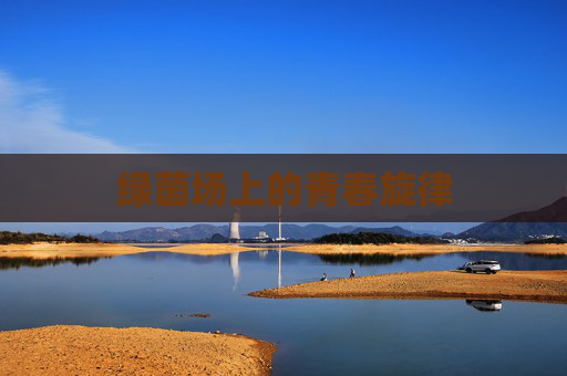 绿茵场上的青春旋律