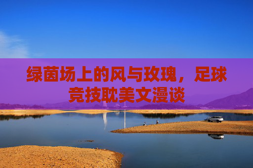绿茵场上的风与玫瑰,足球竞技耽美文漫谈