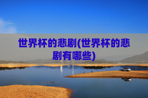 世界杯的悲剧(世界杯的悲剧有哪些)